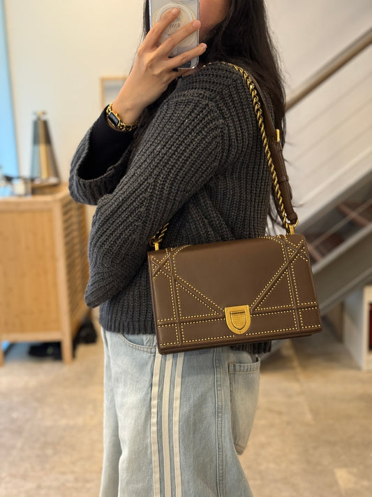 Christian Dior Diorama Brown Medium Bag