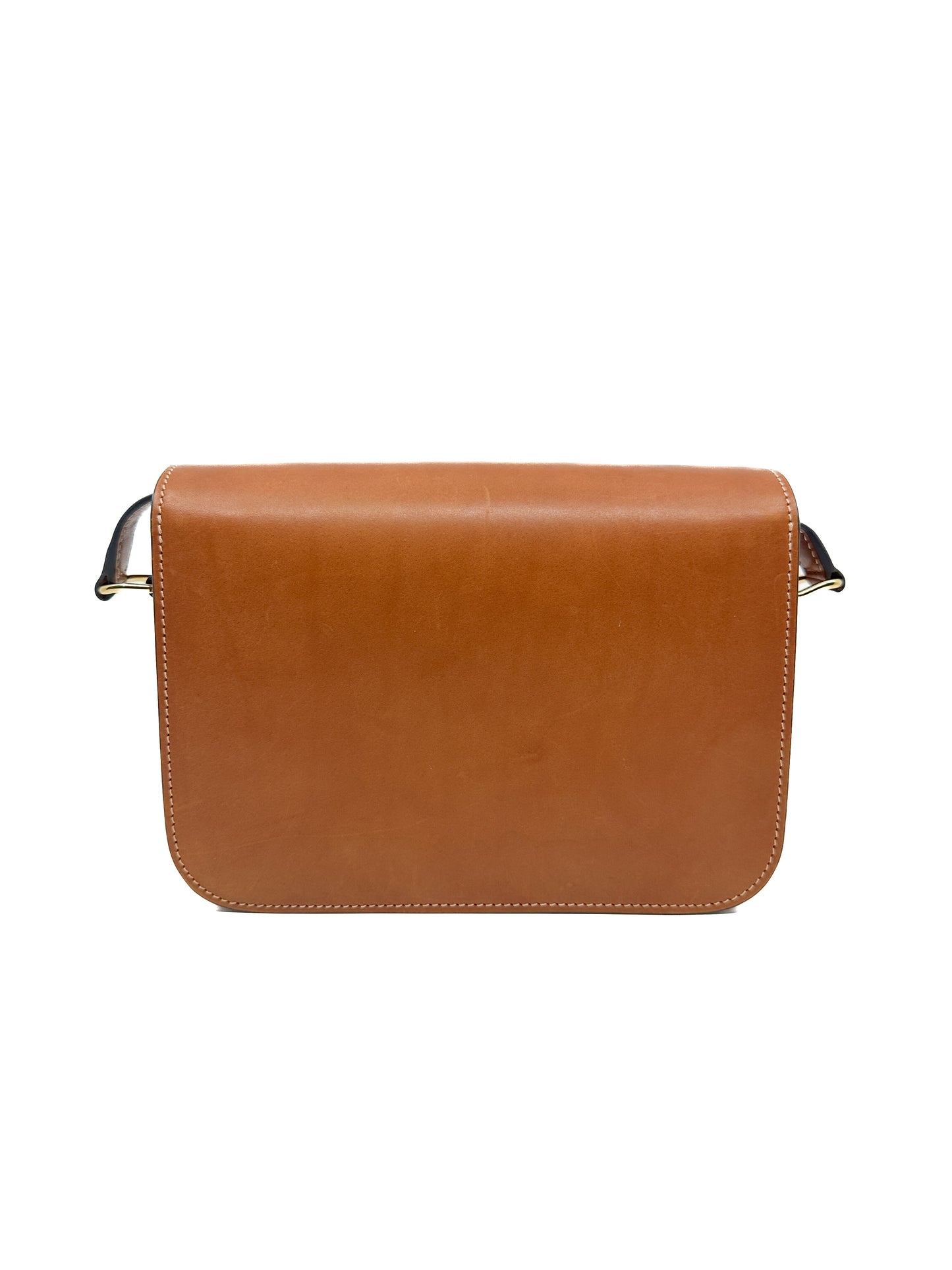 Classique Celine Triomphe Bag in Natural Calfskin