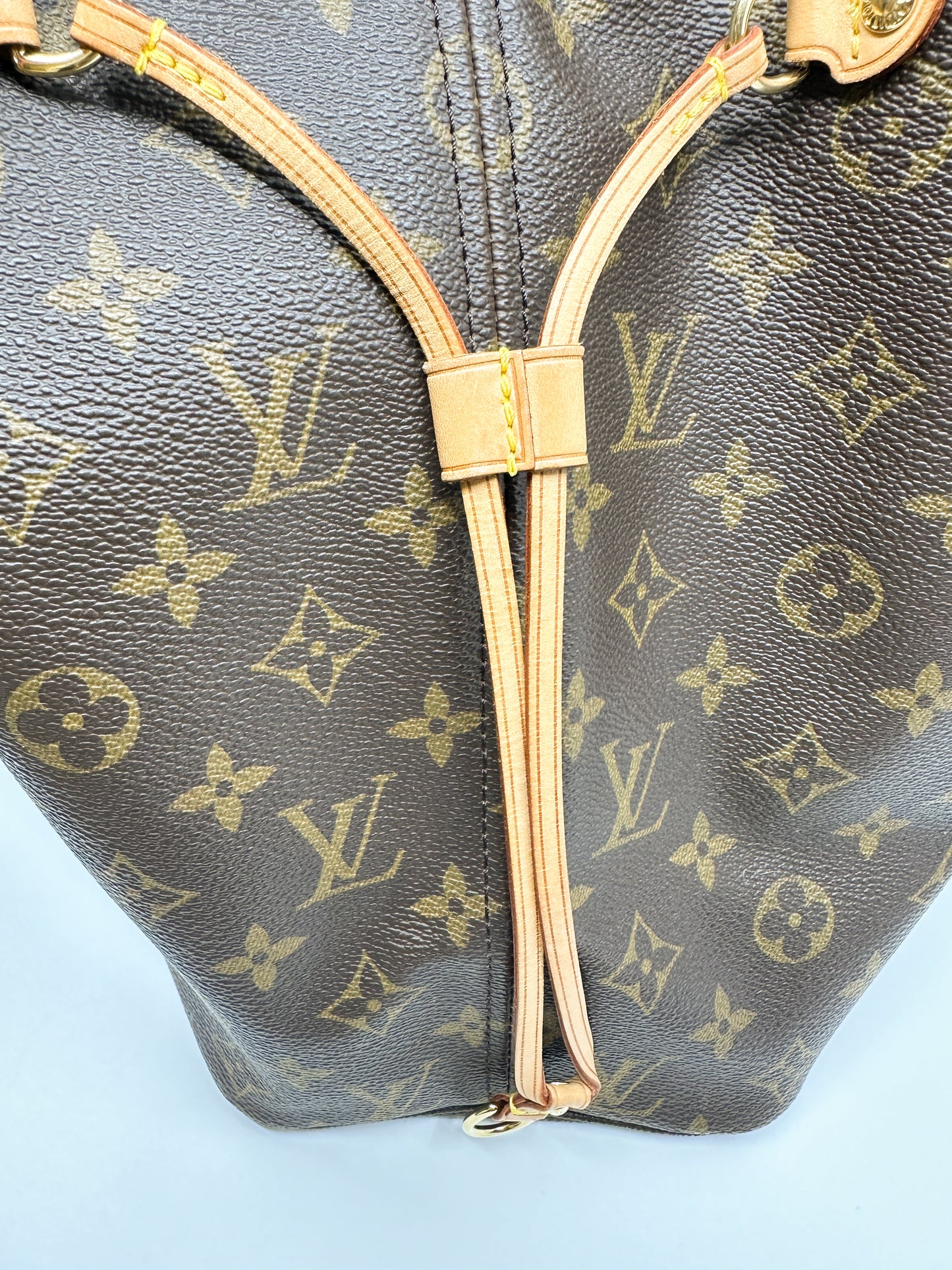 Louis Vuitton Neverfull MM