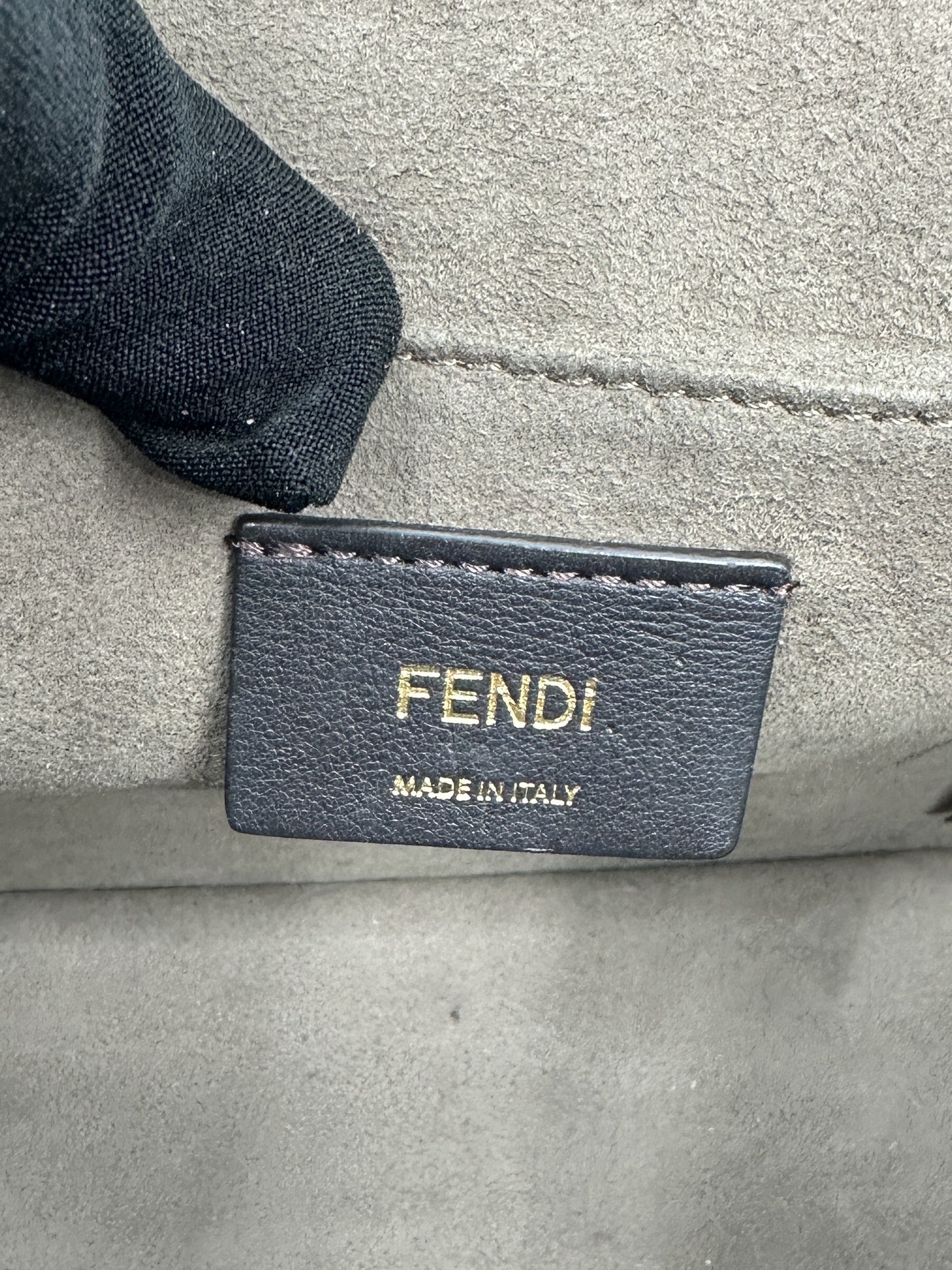 Fendi Kan I Bag in Pink