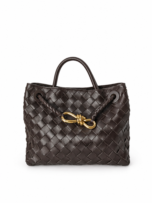 Bottega Veneta Small Andiamo in Chocolate Brown Leather Gold Hardware